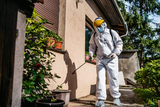 Pest Control for Restaurants in Kiryas Joel, NY