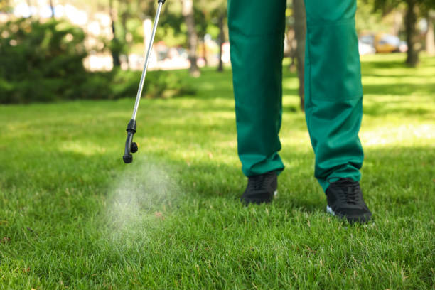 Best Residential Pest Control  in Kiryas Joel, NY