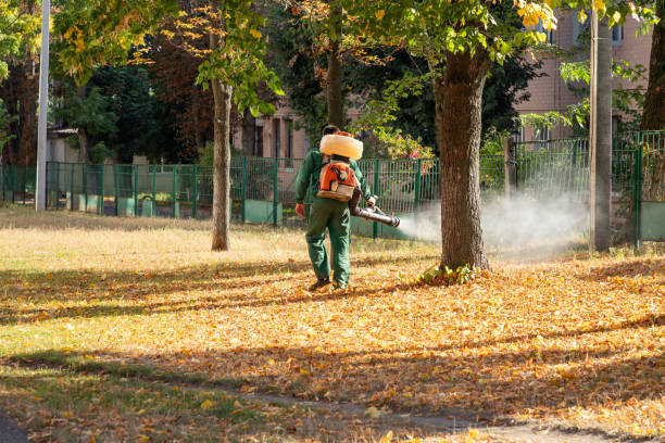 Best Bed Bug Extermination  in Kiryas Joel, NY