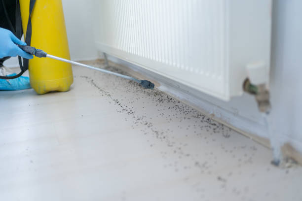 Best Pest Prevention Services  in Kiryas Joel, NY