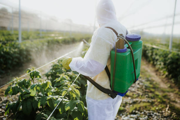 Best Local Pest Control Services  in Kiryas Joel, NY